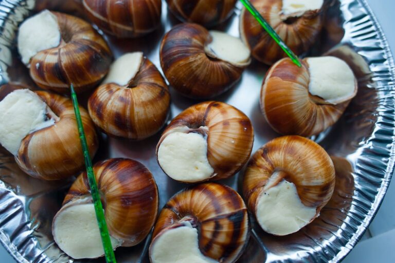 Хранение улиток